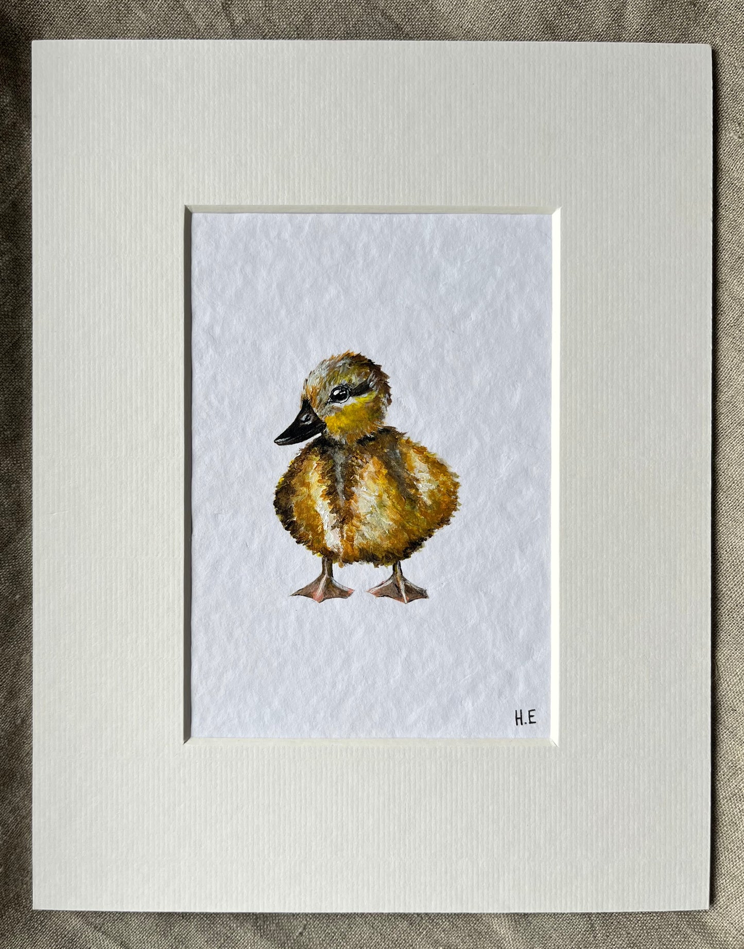 Spring Chick