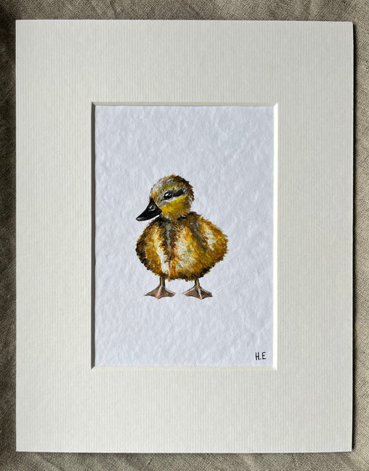 Spring Chick